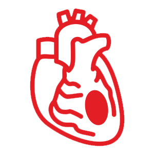 Mesenteric-Ischemia-icon